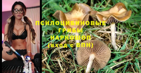 МДПВ Абинск