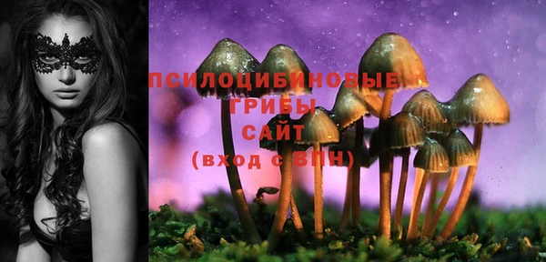 соль курить ск Приозерск
